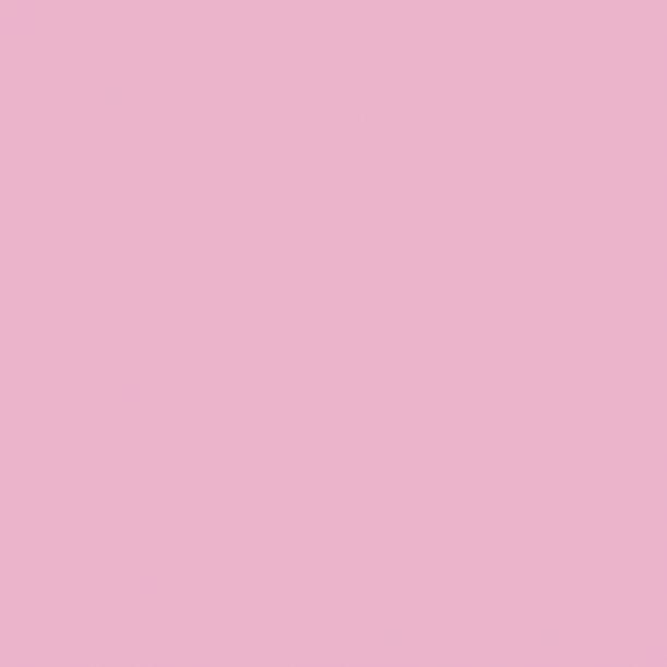 CRICUT 智能乙烯基耐久系列 33cm x 0.9m -淺粉紅色 (2008624)