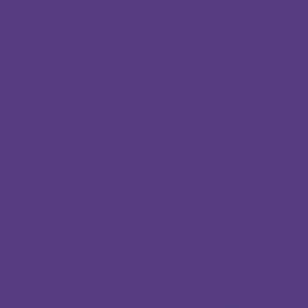 CRICUT 智能乙烯基耐久系列 33cm x 0.9m -紫色 (2008632)