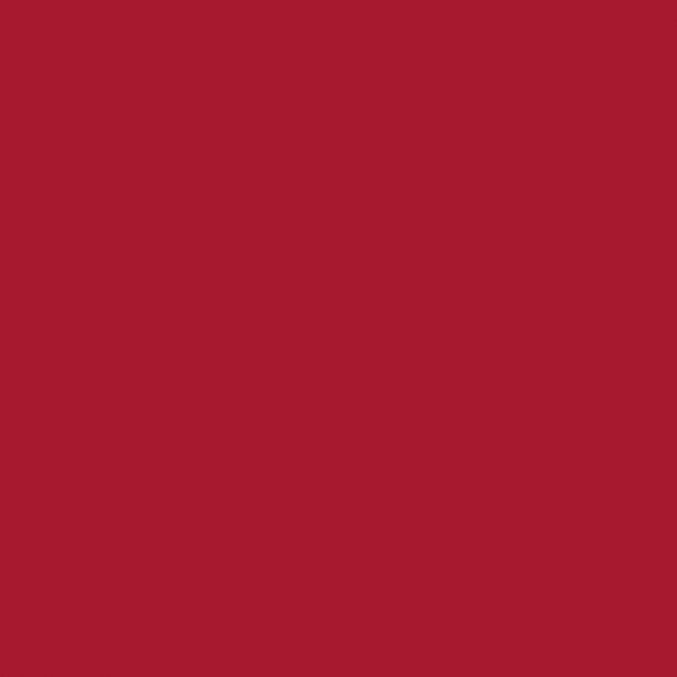 CRICUT 智能乙烯基易撕系列 33cm x 0.9m - 紅色 (2008646)